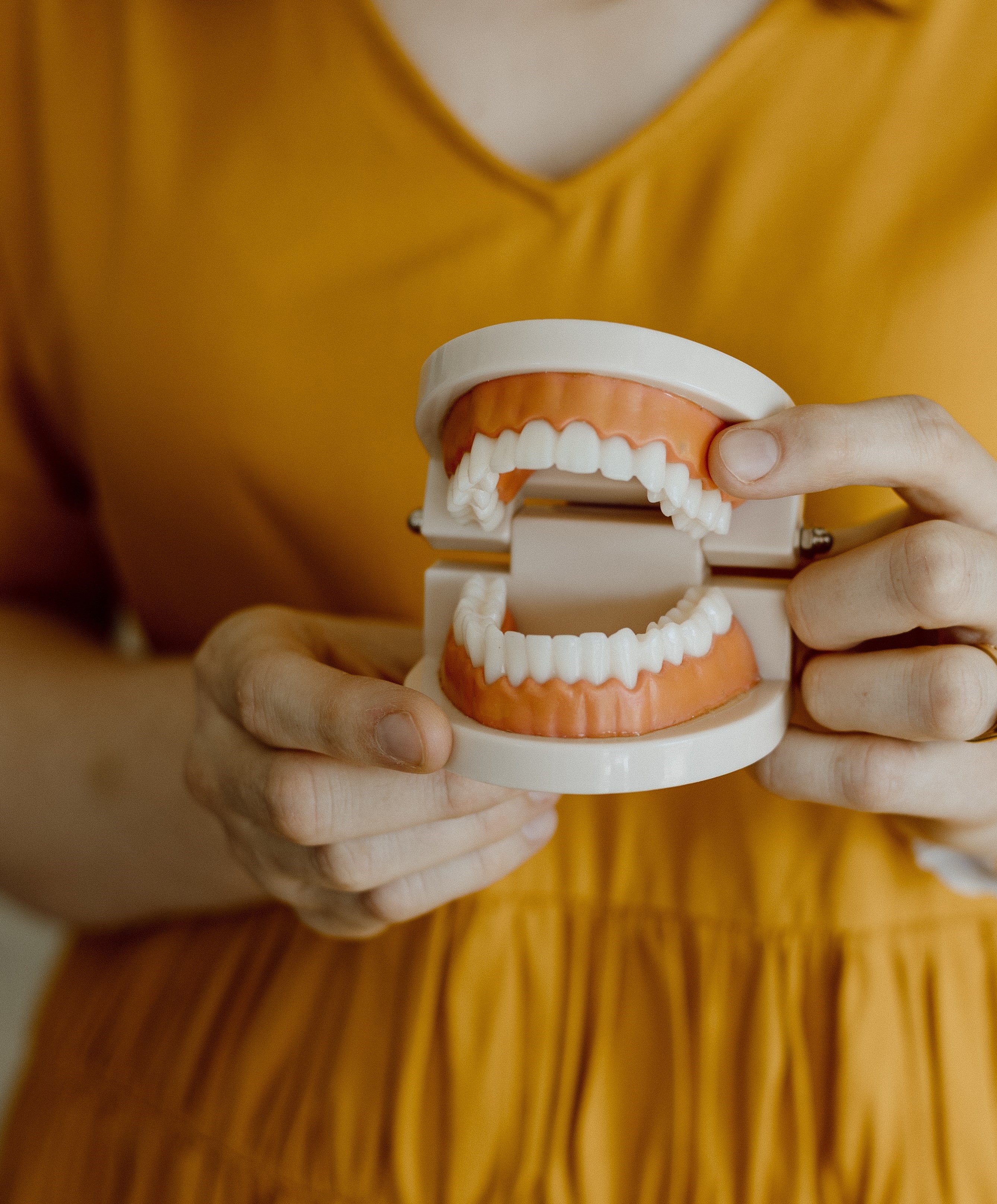 Mel Van Schelven demonstrating toddler toothbrushing techniques with model teeth.